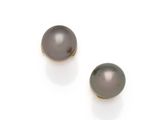 a pair of tahitia pearl stud earrings