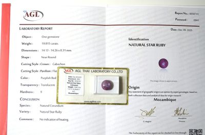 une image représentant un certificat sur lequel figure un diamant violet