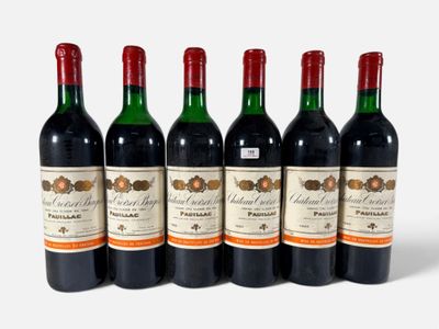 six bouteilles de vin sont alignées sur une surface blanche