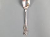 a spoon that is sitting on a table