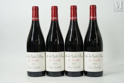 quatre bouteilles de vin sont alignées sur une surface blanche