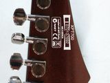 a close up of a guitar neck with a number of knobs on it