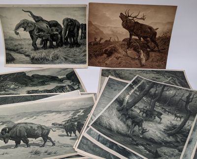 several old black and white pictures of animals in a field