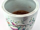 a white cup with a brown substance in it