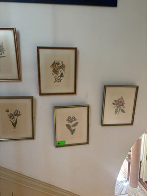 many framed pictures on the wall above the stairs