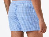 a close up of a man wearing a blue and white checkered boxers