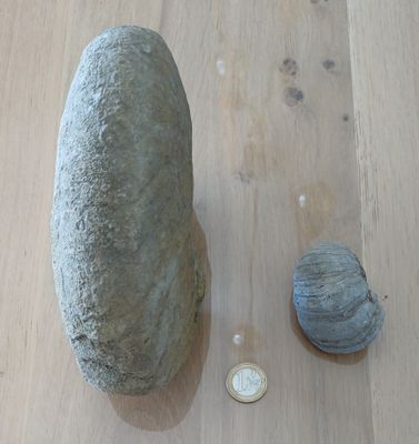 un caillou et un centime posés sur un plancher en bois