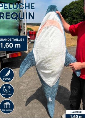 un homme tenant un grand requin en peluche devant un camion