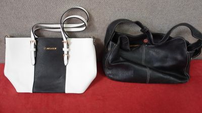 deux sacs à main noirs et blancs posés sur une surface rouge