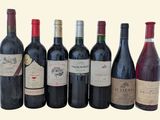 six bouteilles de vin sont alignées sur un fond blanc