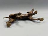 bronze figurine of a dog laying on its back on a white surface