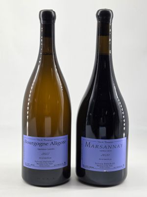 deux bouteilles de vin posées l'une à côté de l'autre sur une surface blanche