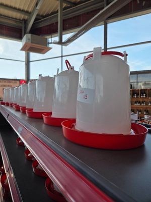 many plastic jugs lined up on a conveyor belt
