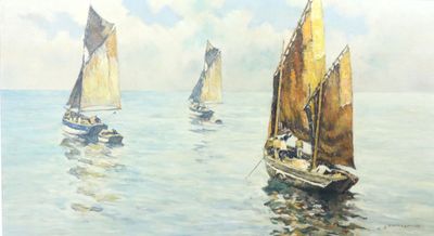 many sailboats that are sailing in the water