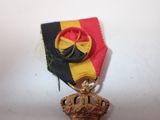 a medal with a crown on it on a white surface