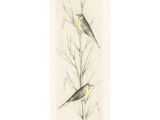 dessin représentant deux oiseaux perchés sur une branche d'une plante