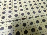 a small insect that is on the floor of a building