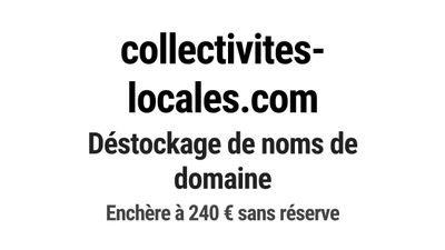 Nom de domaine collectivites-locales.