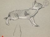 drawing of a dog jumping in the air with a frisbee in it ' s mouth