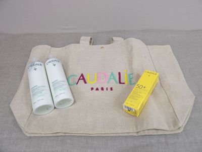 un sac contenant deux flacons de lotion et un tube de lotion à côté