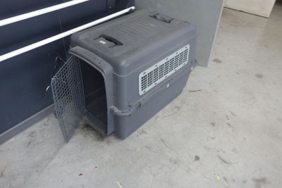 un chien assis à l'intérieur d'une cage pour chien
