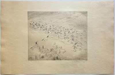 drawing of a flock of birds flying over a field of grass