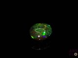 an oplite in the dark with a black background