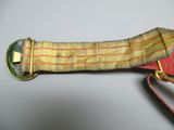a belt that has a metal buckle on it