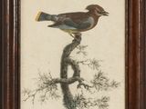tableau représentant un oiseau perché sur une branche d'arbre