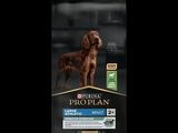 a dog is standing in front of a bag of prop plan dog food