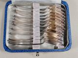 several spoons in a blue case on a white surface