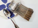 a plate with a spoon, spoon and spoon rest on it