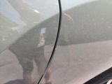 a dog that is standing on the side of a car