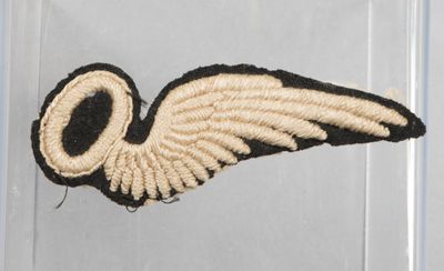 a small black and white wing on a clear display case