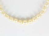 gros plan d'un collier de perles blanches sur une surface blanche