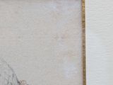 a picture of a drawing of a sheep on a wall