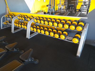 une rangée d'imbéciles dans une salle de sport aux murs jaunes