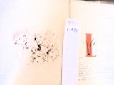 an open book with a picture of a dandelion on it