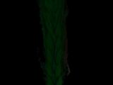 a green flower that is glowing in the dark
