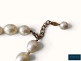 pearls on a chain with a gold clasp on a white background