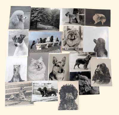 DIM, Henri DIMONT et divers Importante collection de photogr…