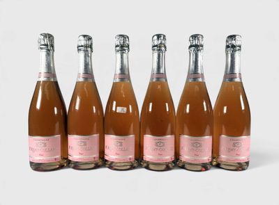 six bouteilles de vin rosé sont alignées en rang