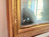 a black cat that is sitting in front of a mirror