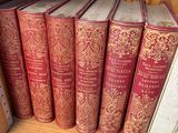 Plusieurs livres rouges sont alignés sur une étagère d'une bibliothèque