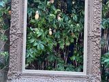 un miroir posé sur une plante en pot