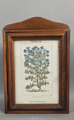 deux photos encadrées représentant des fleurs bleues, dans des cadres en bois, sur un fond gris