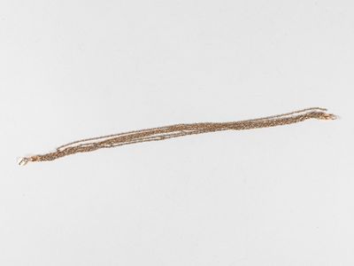 un long fil marron avec une longue queue sur une surface blanche