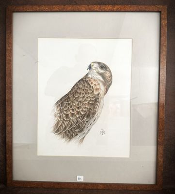 a picture of a picture of a bird in a frame