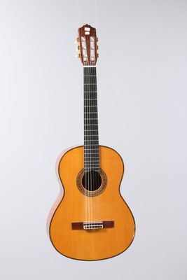 a close up of a guitar hanging on a wall