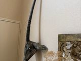 a picture of a wall mounted antelope on the side of a wall